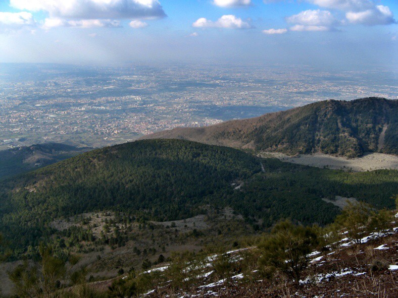 img00011.jpg